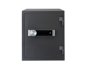 Picture of Electronic Office Document Fire Safe Box (Large)